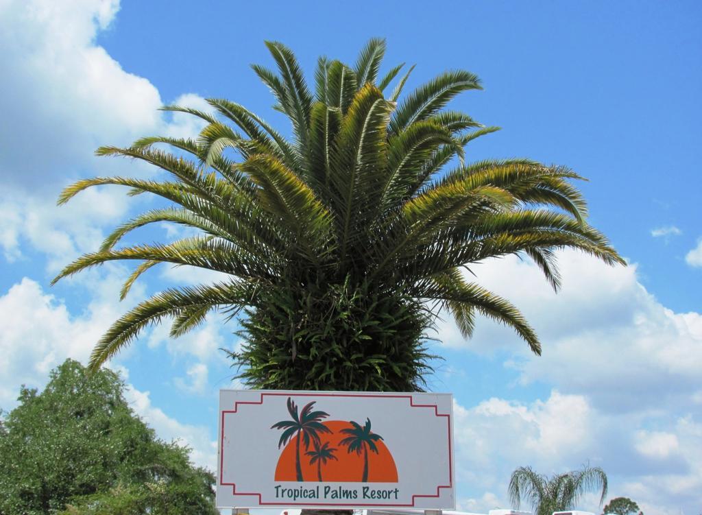 קיסימי Tropical Palms Resort & Campground מראה חיצוני תמונה